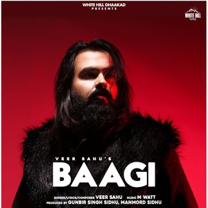 Baagi