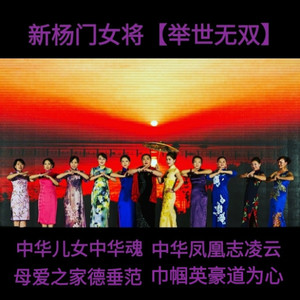 新杨门女将 举世无双
