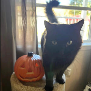 Another (feat. kt! & kaysnoto) (Explicit)