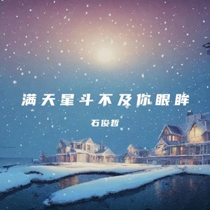 满天星斗不及你眼眸 (Dj光年版)