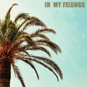 In My Feelings (feat. Banjac)