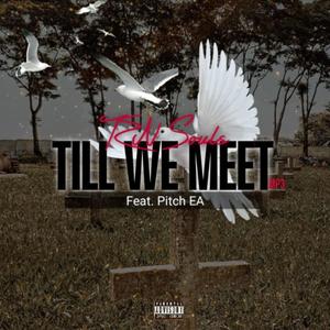 Till We Meet (feat. Pitch EA)