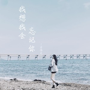 我想我会忘记你