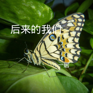 画皮 (Remix)