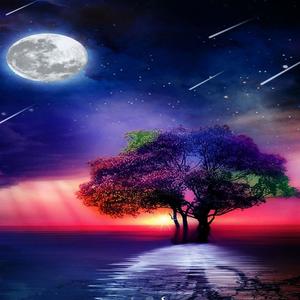 shebeshxt Ntsware Mogatxaka (house version Remix)