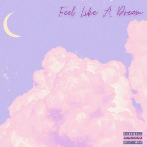 Feel Like A Dream (Explicit)