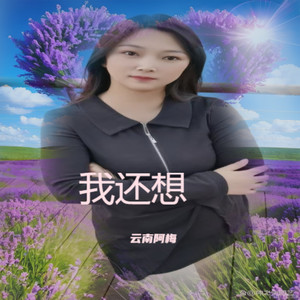 我还想 (伴奏)