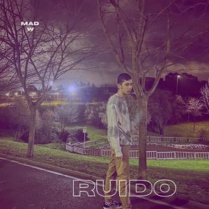 Ruido (feat. akassshhhiii)