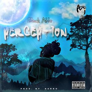 Perception (Explicit)