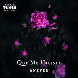 Que Me Hiciste (Explicit)