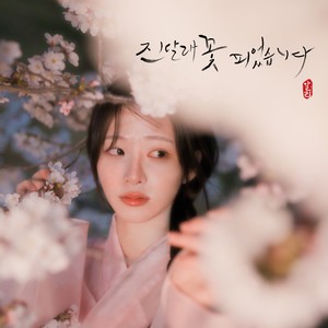 진달래꽃 피었습니다 (Azaleas) (金达莱花开了)