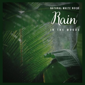 Natural White Noise: Rain in the Woods