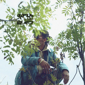 Plug Love (Explicit)