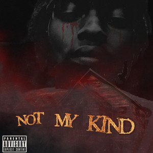 Not My Kind (Explicit)