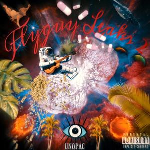 Flyguy Leaks 2 (Explicit)