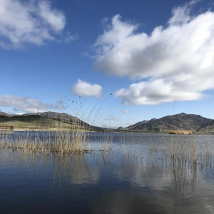 满襟霜雪别天山
