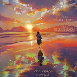 Precious Hideout (feat. CharvetBeats)