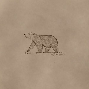 Black Bear