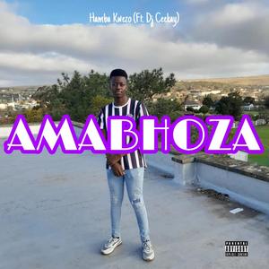 Amabhoza (feat. Dj Ceekay)