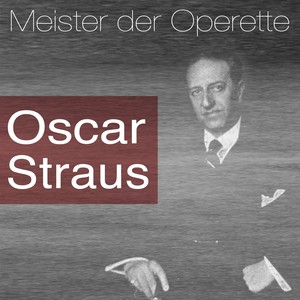Der tapfere Soldat - 