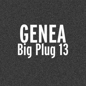 Big Plug 13