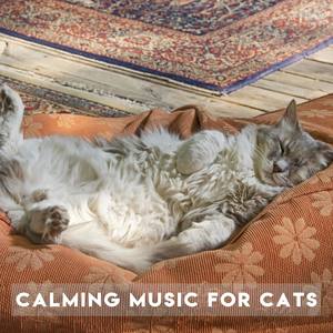 Calming Music for Cats