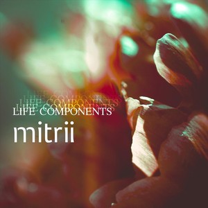 Life Components