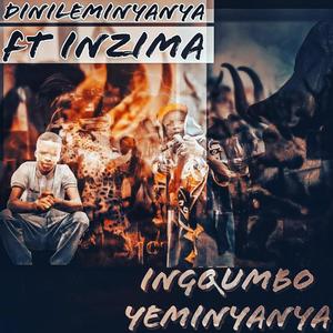 Ingqumbo Yeminyanya (feat. Inzima)