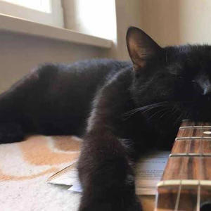 ****ed up lately (feat. spineless) (Explicit)