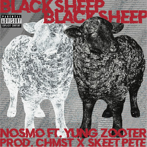 BLACK SHEEP