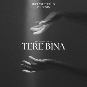 Tere Bina
