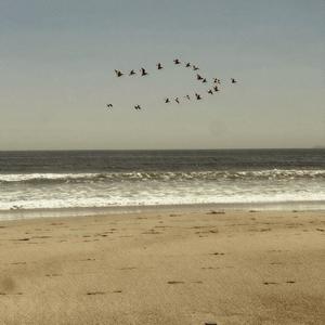 Don't You Worry (Explicit)