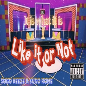 It Is What It Is (Like It Or Not) [Explicit]