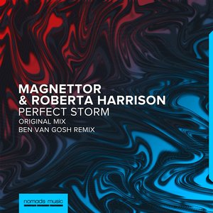 Perfect Storm (Radio Edit)