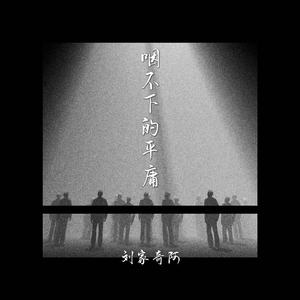 咽不下的平庸-刘家奇阿