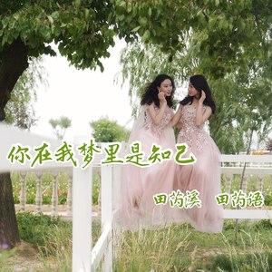 你在我梦里是知己