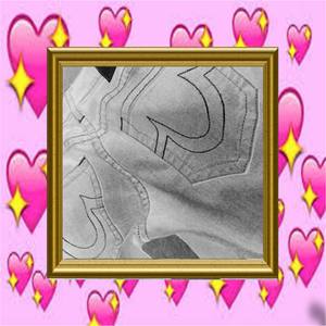 horseshoes on my jeans (Explicit)