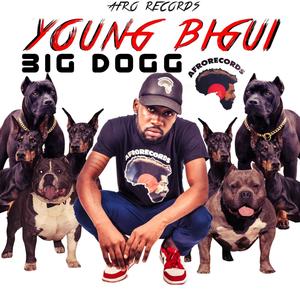 BIG DOGG (feat. YOUNG BIGUI) (Explicit)