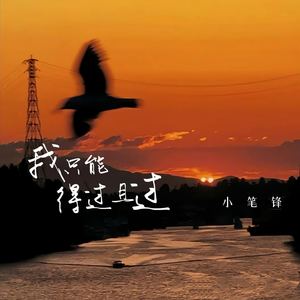 我只能得过且过