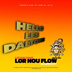 LOR NOUS FLOW (feat. Les Daltons) [Special Version] [Explicit]