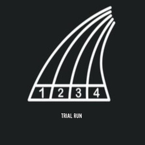 TRIAL RUN (Explicit)