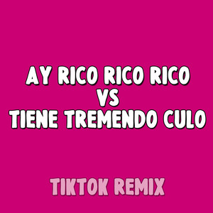 Ay Rico Rico Rico Vs. Tiene Tremendo Culo (TikTok Remix)