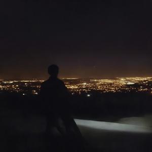 Dance The Night Away