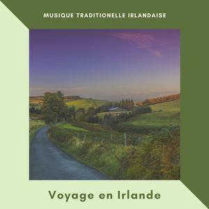 Voyage en Irlande: Visiter Dublin à travers la musique traditionelle irlandaise