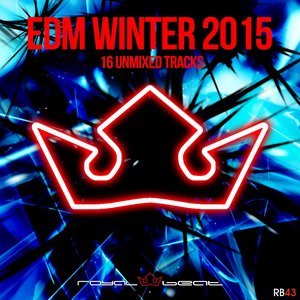 Edm Winter 2015 (16 Unmixed Tracks)