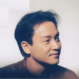 怪你过分美丽封面