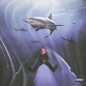 Sharks (Explicit)