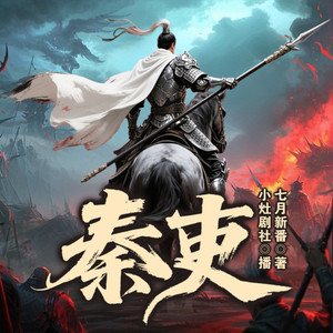 秦吏-1289 更吹落星如雨 (DJ长音频)封面