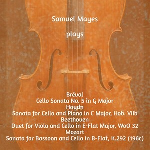Sonata for Bassoon and Cello in B-Flat Major, K. 292 (196c) - I. Allegro