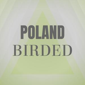 Poland Birded